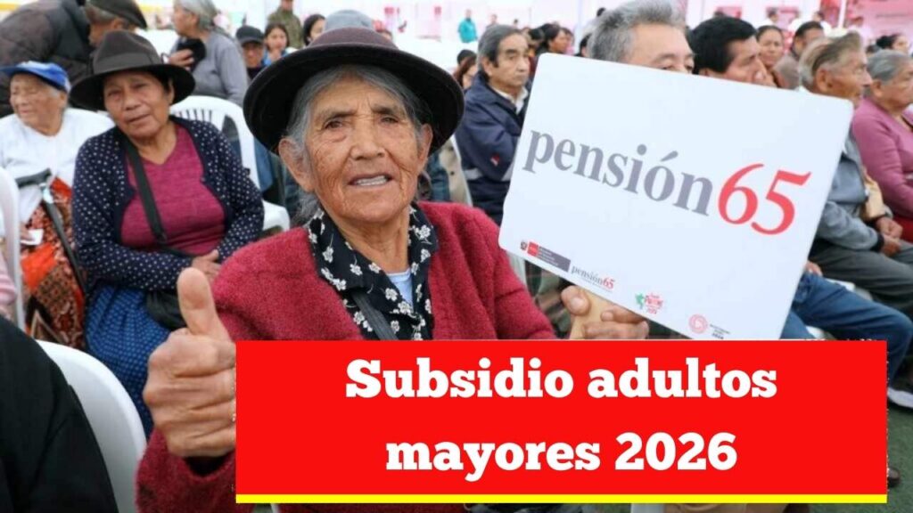 Subsidio adultos mayores 2026: requisitos básicos y fechas oficiales de cobro
